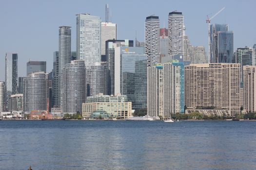 Toronto's cityscape featuring modern skyscrapers by the waterfront. Ideal for urban and architectural themes.