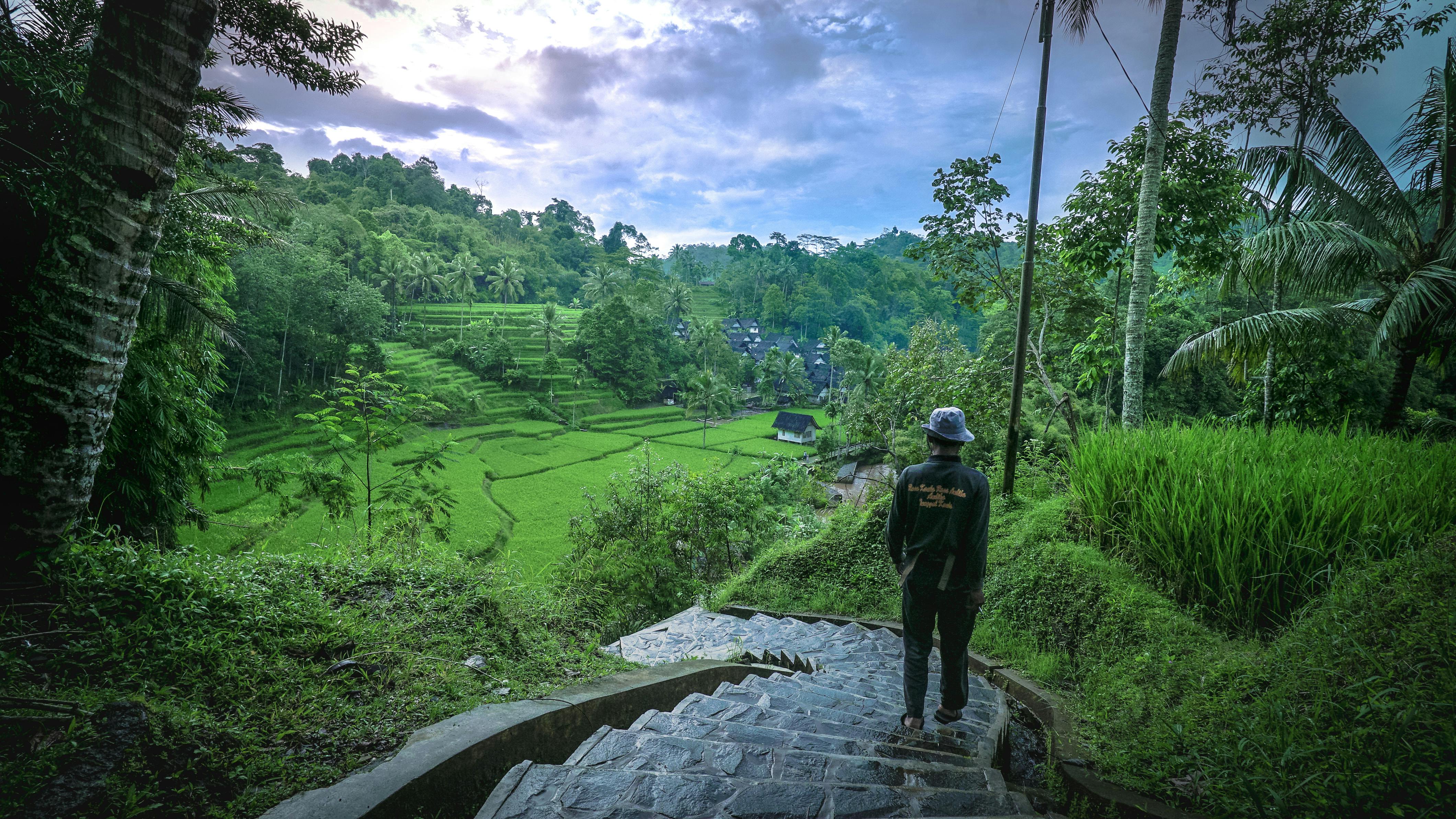 Gambar Pemandangan Alam Desa