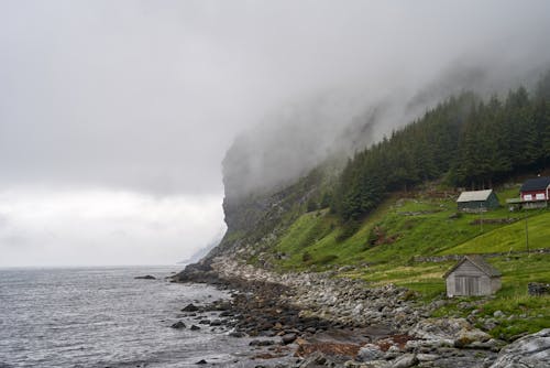 Fotos de stock gratuitas de acantilado, brumoso, con neblina