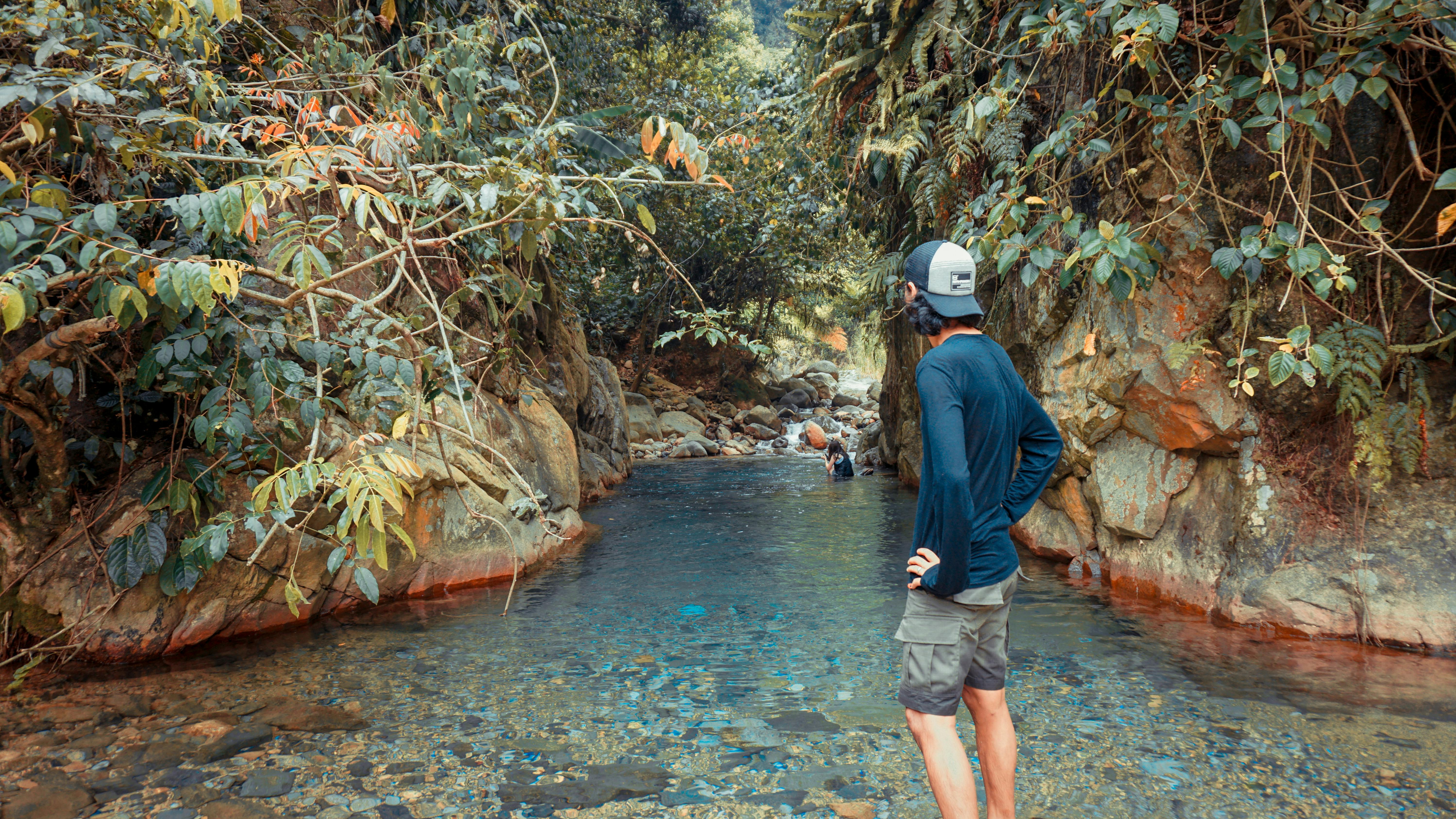 Free stock photo of adventure, nature, nature life