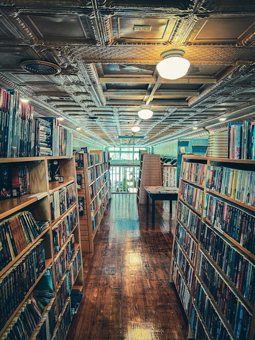 Free stock photo of bookshelves, bookstore, danielle randall