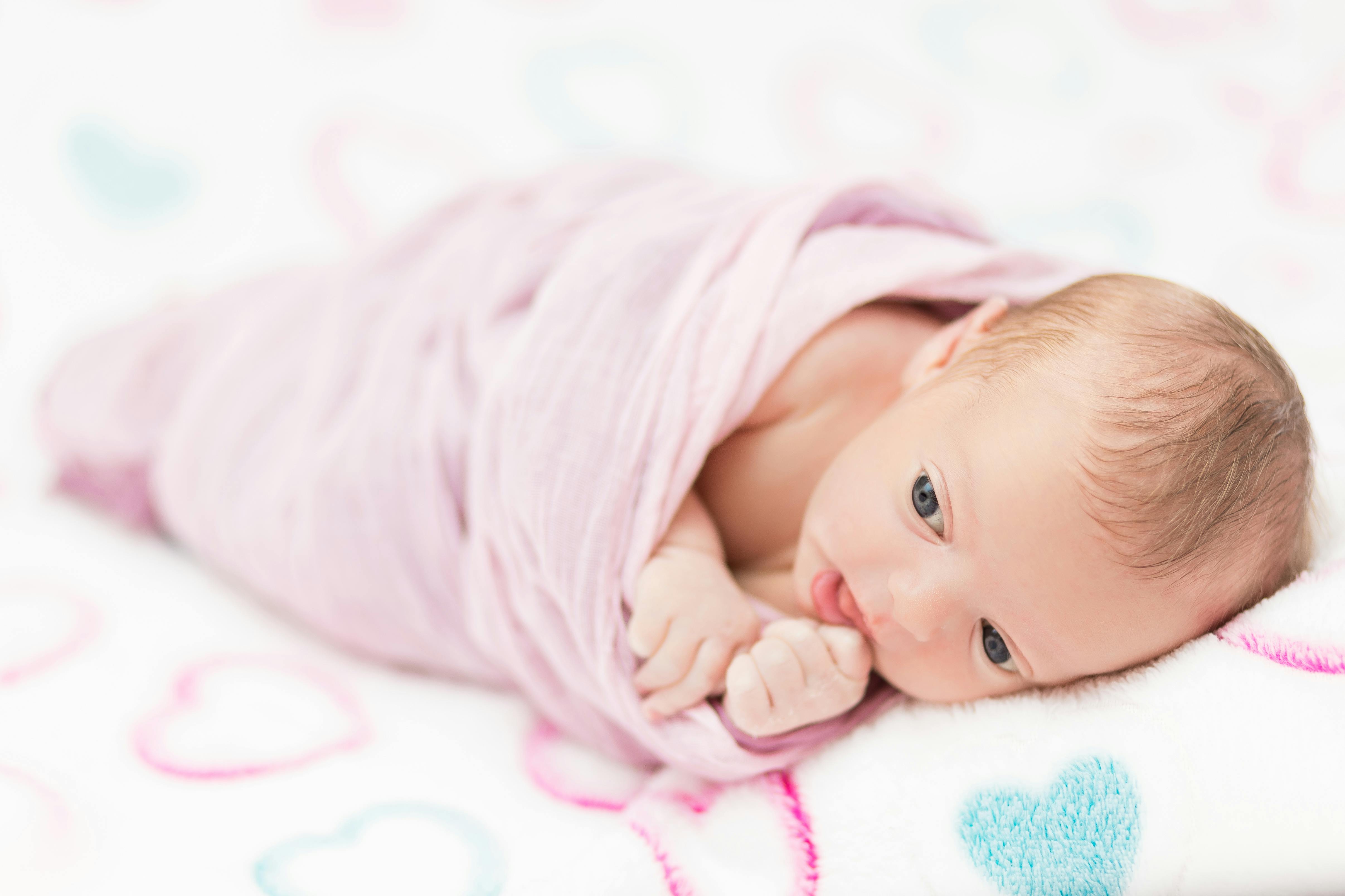 Free stock photo of babies, baby, little baby