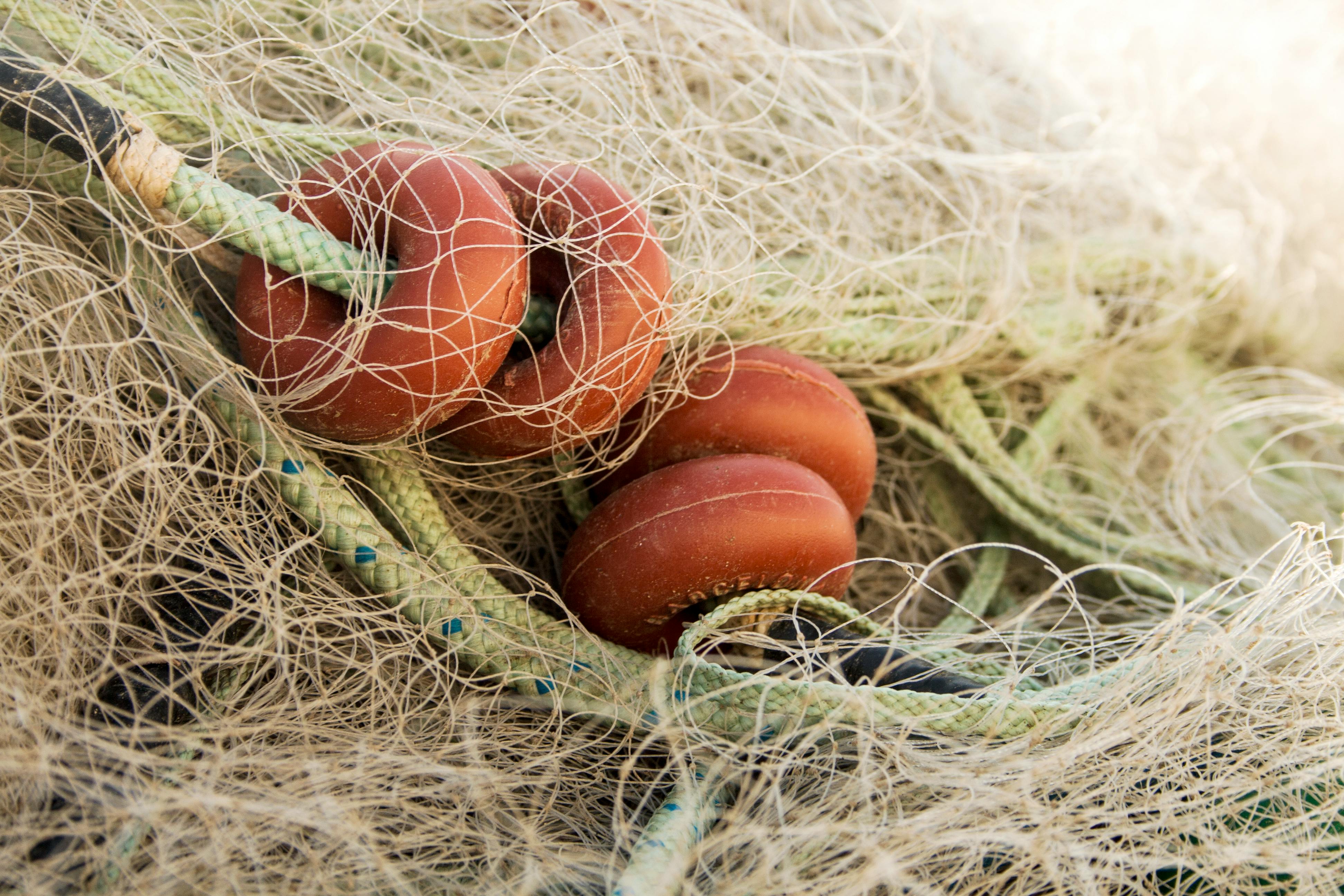 Darci Pendant Lights in a Cozy Living Room