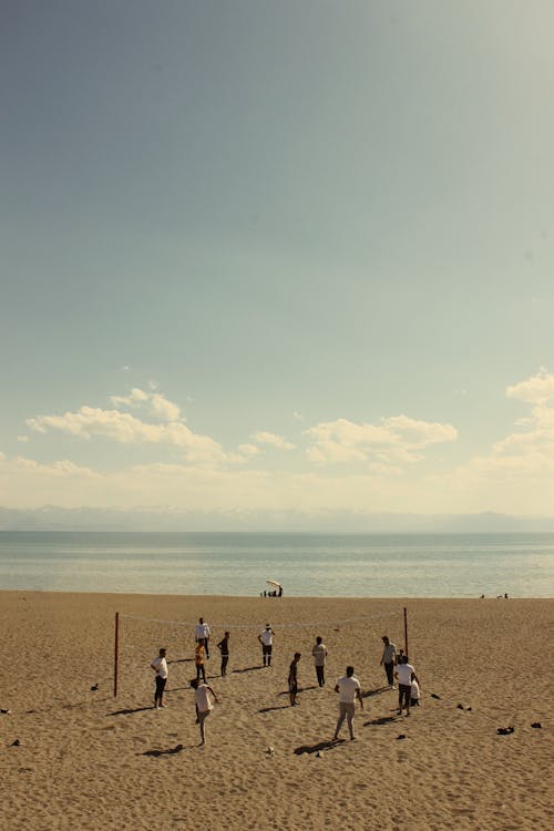 People Playing Volleyball in the Beach