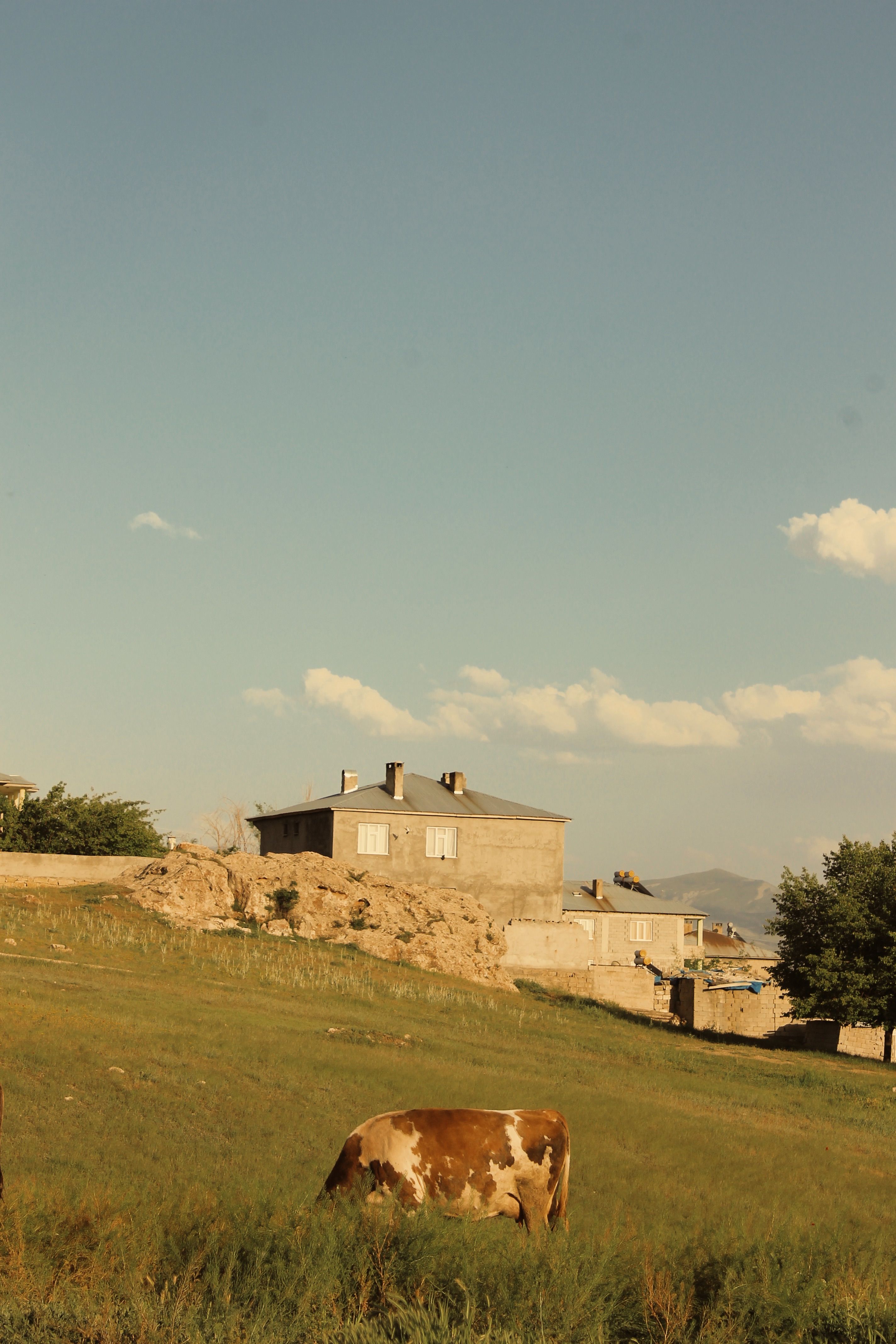 Concrete House Under Blue Sky · Free Stock Photo