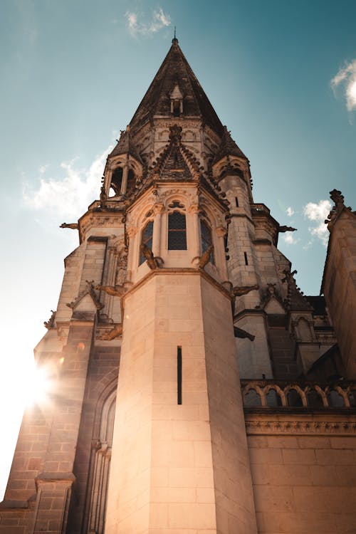 Foto d'estoc gratuïta de angle baix, capvespre, catedral