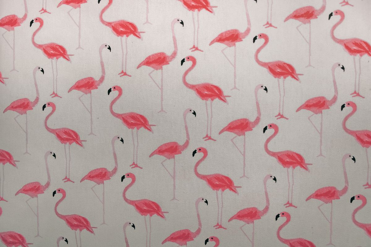 Flamingolar ve tropikal çiçeklerle dolu renkli bir bahçe ortamı