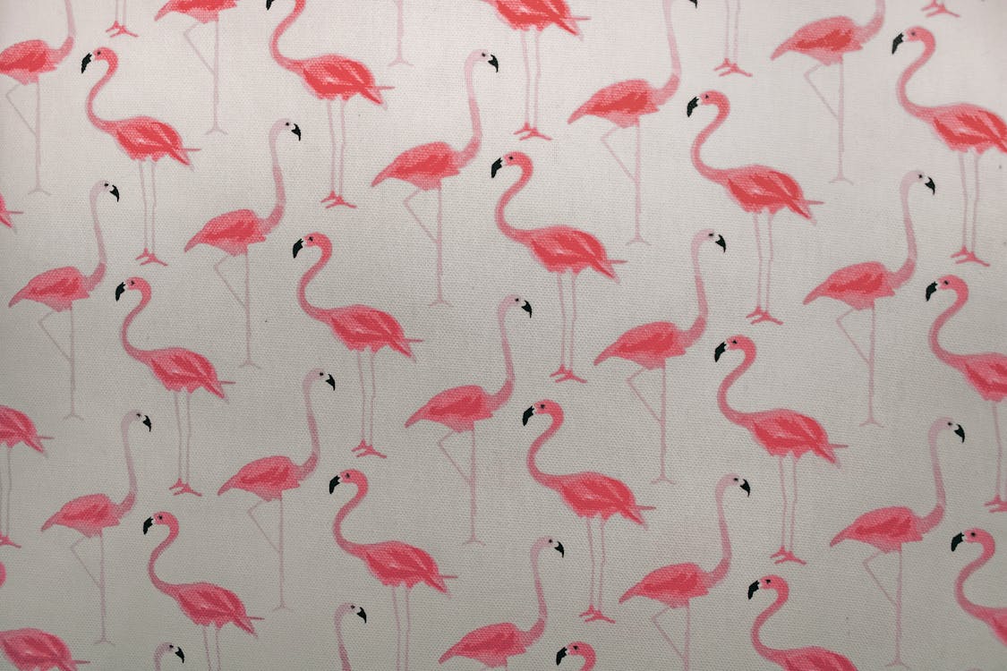 Free Pink Flamingo Printed Paper Stock Photo