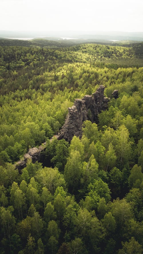 Бесплатное стоковое фото с Аэрофотосъемка, вертикальный выстрел, гебзе