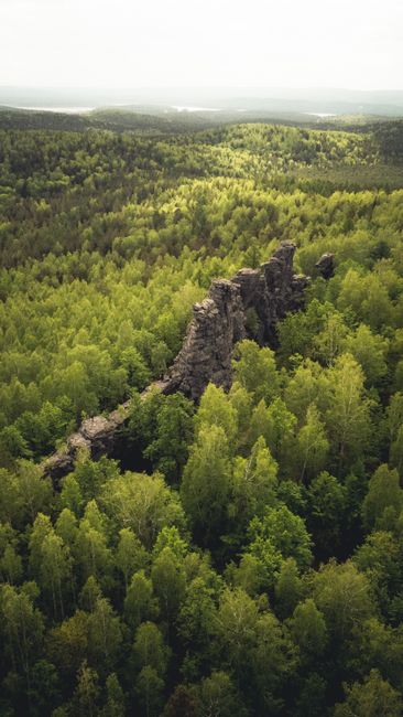 A breathtaking aerial view of a vibrant green forest with a natural rock formation, perfect for nature themes.