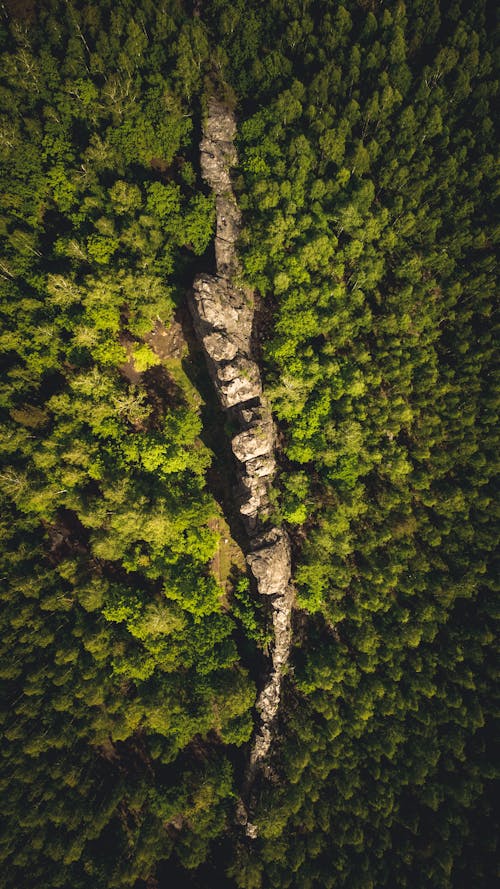 Top View of Rock Formation on the Forest