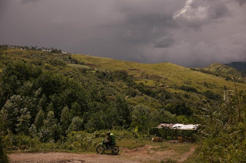 Scenic View of the Green Trees in the Mountains