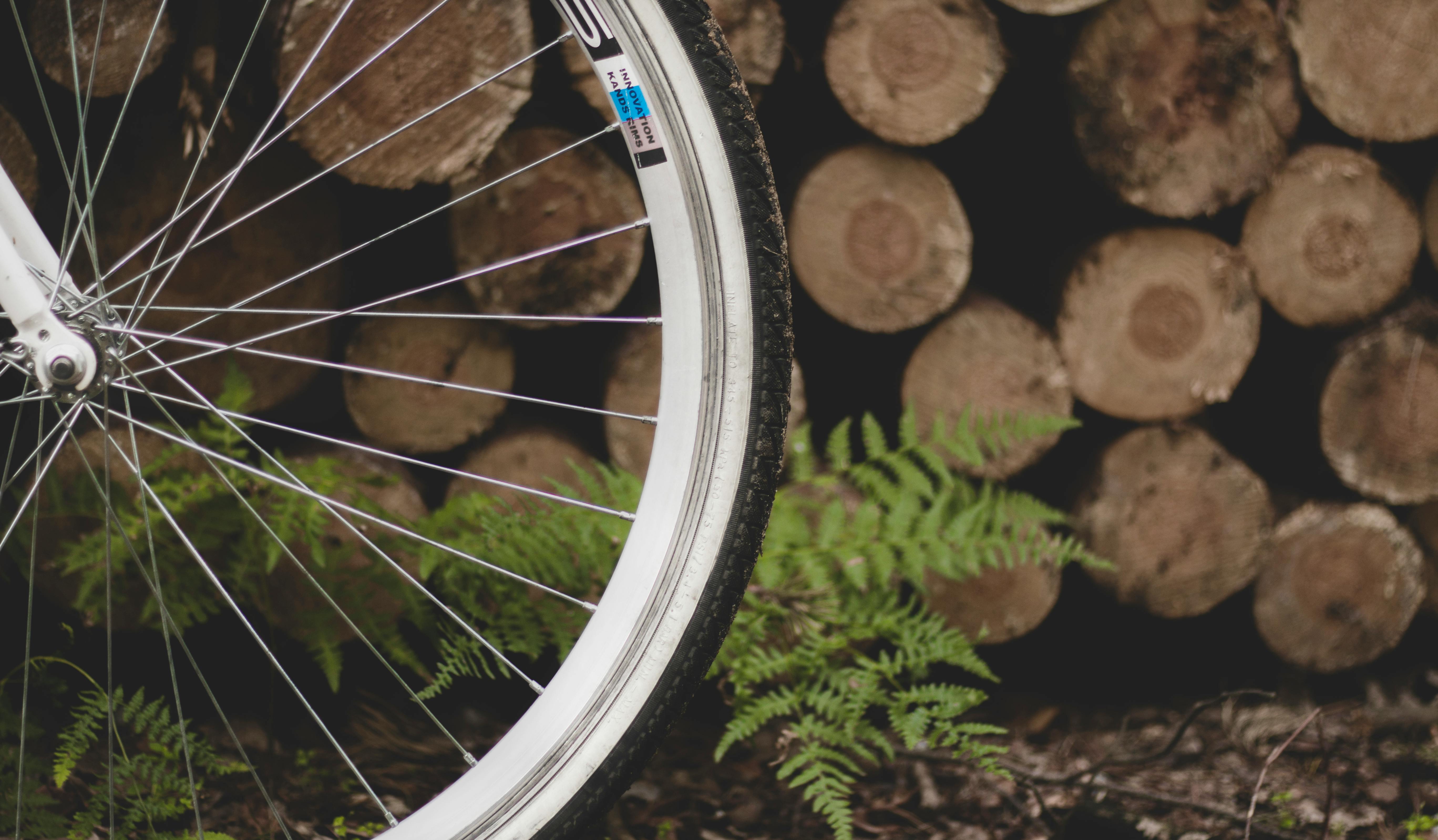 Bicycle Tire Near Fern Plant and Pile of Wood Logs · Free ...