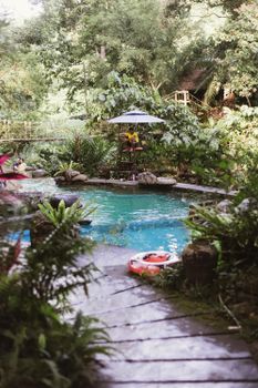 A tranquil garden pool surrounded by lush tropical vegetation, offering a serene retreat.
