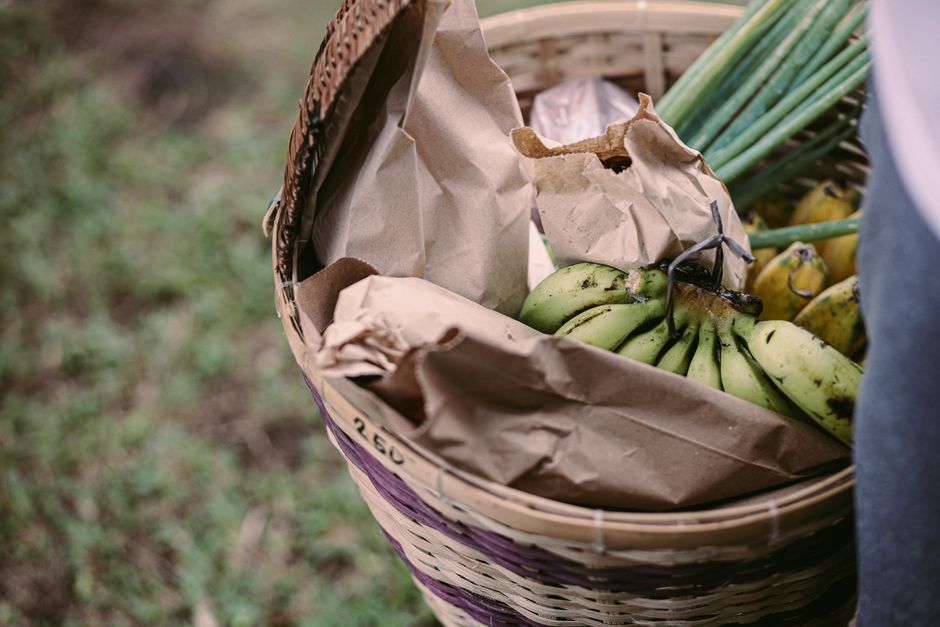 fresh scallions harvest basket