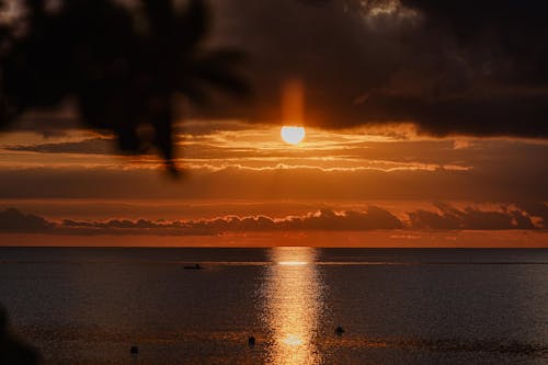 бесплатная Бесплатное стоковое фото с восход, горизонт, живописное небо Стоковое фото
