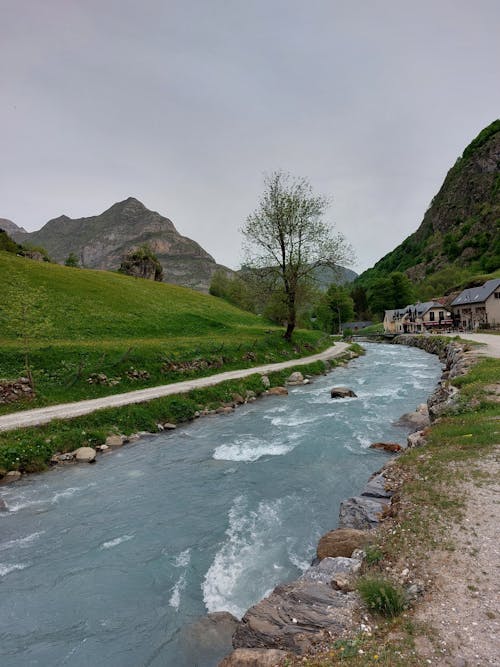 River Beside Grass Field Under Gray Sky