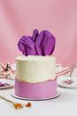 Purple Rose on White Ceramic Round Plate