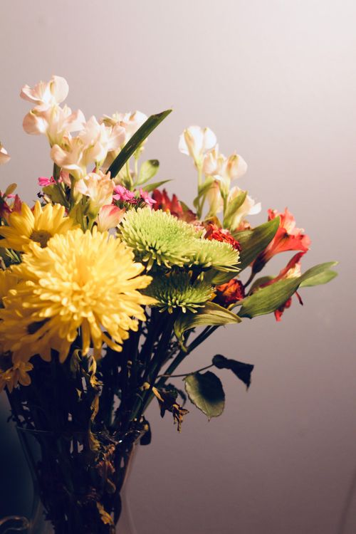 Free Colorful floral arrangement in a glass vase with a neutral backdrop, highlighting vibrant blooms. Stock Photo