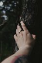 Person Holding Black and White Bird