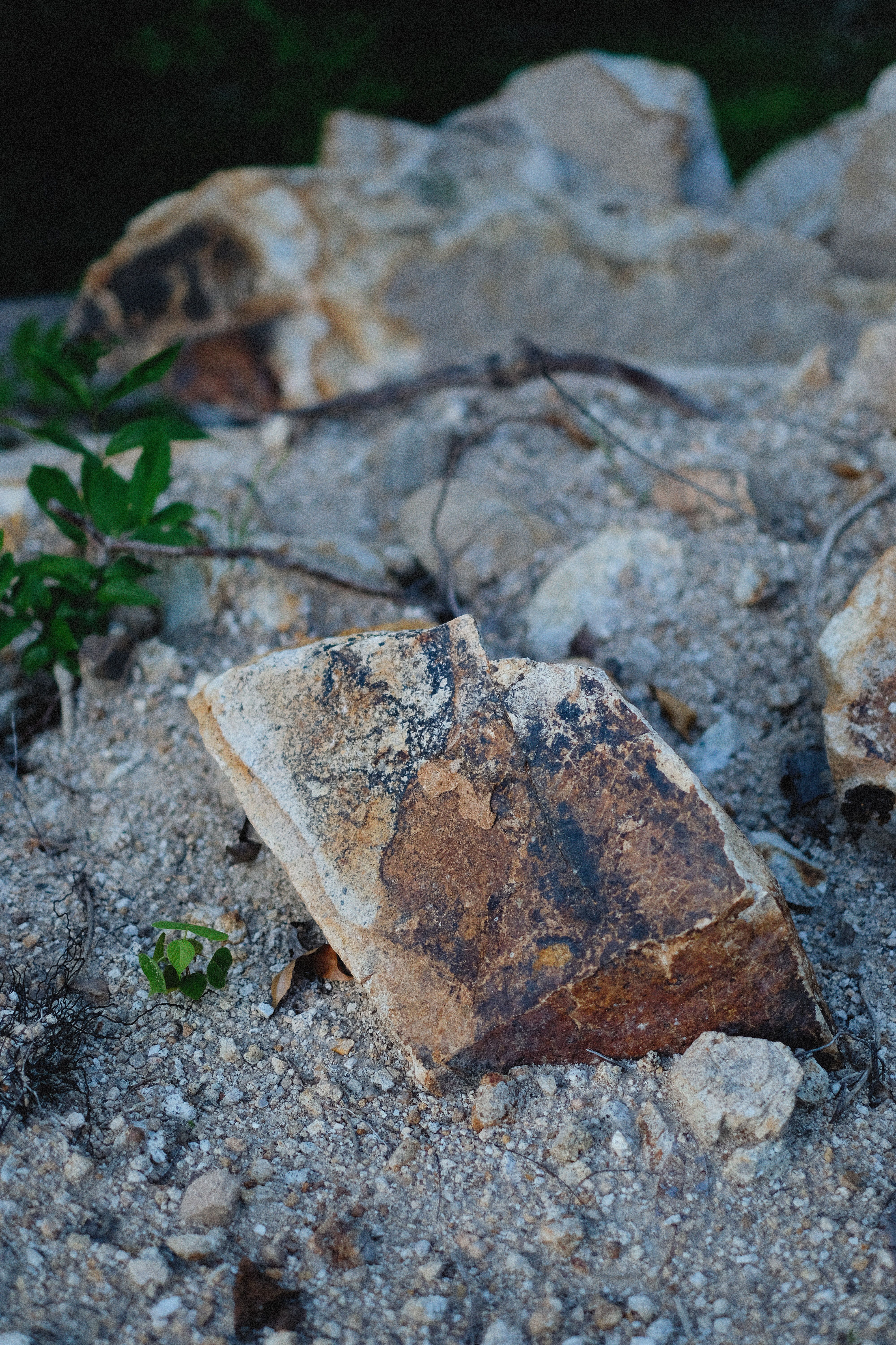 Close-up of an eroded rock with surrounding pebbles and greenery.