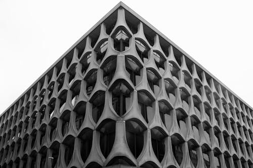 Monochrome Shot of a Building