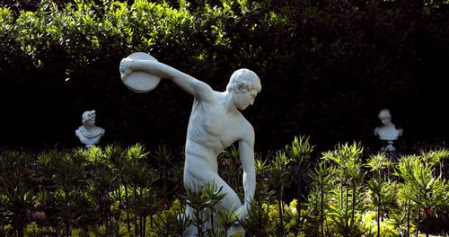 Cast of the Discobolus statue among greenery — photo by Talha Usman on Pexels