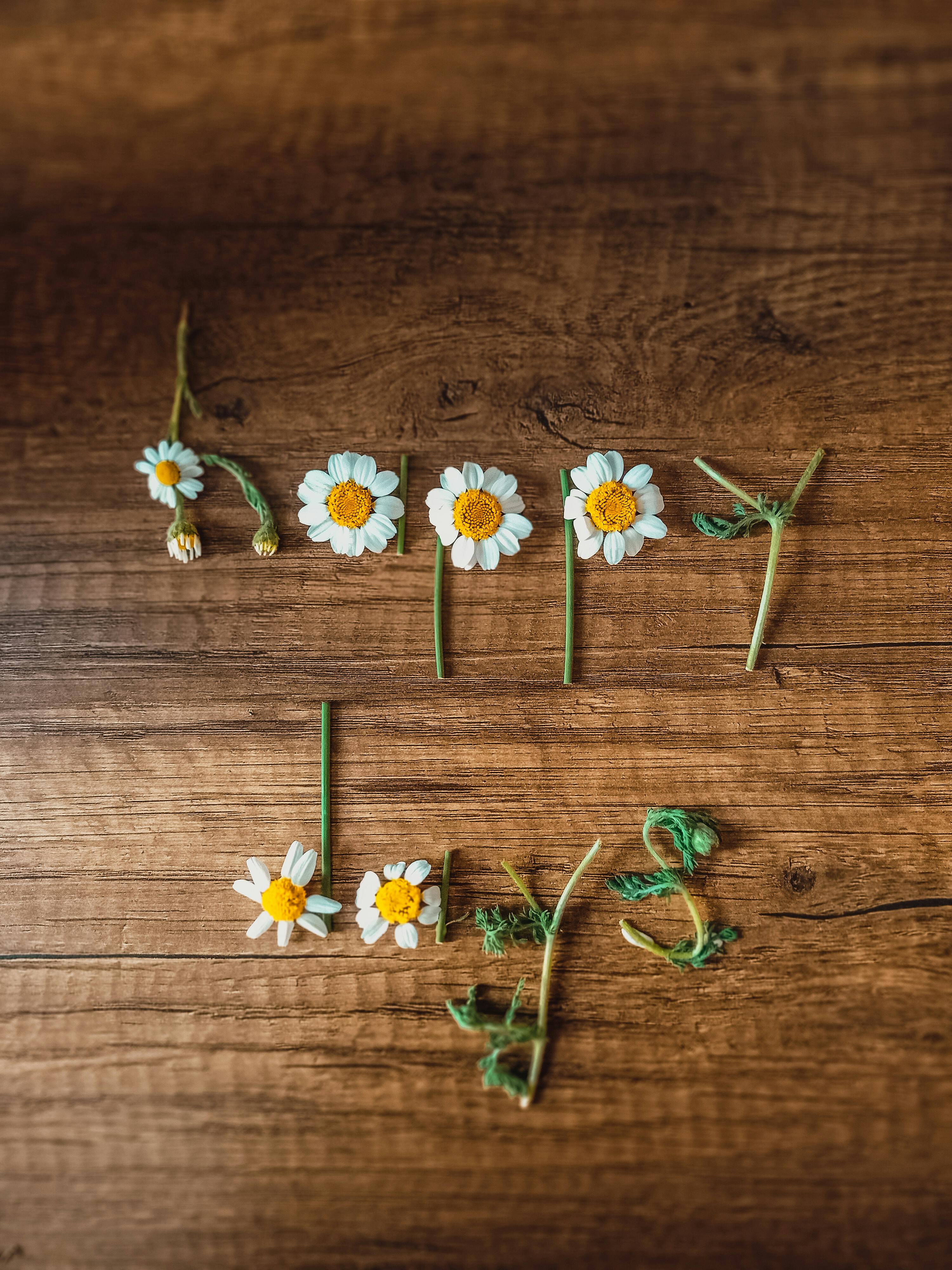 How do you tell if he's in the mood?