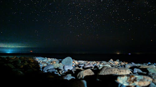 Free stock photo of beach, lobo, night Stock Photo