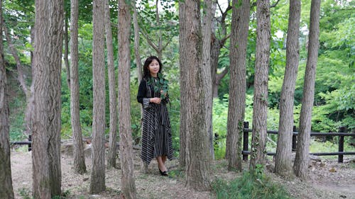 A Woman in Black Dress Standing in the Forest