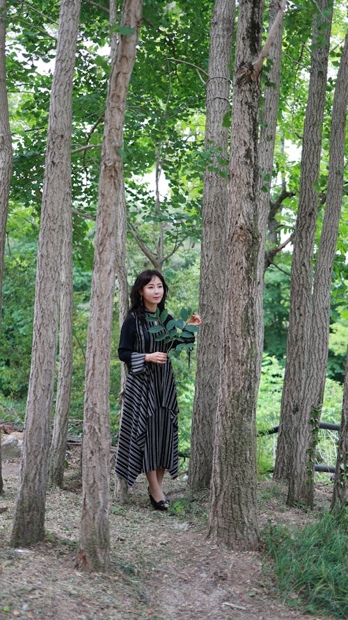 Photo Of Girl Standing On Her Arms, With Raised Leg In Long Green Dress  Doing Yoga In Forest Stock Photo, Picture and Royalty Free Image. Image  124795308.