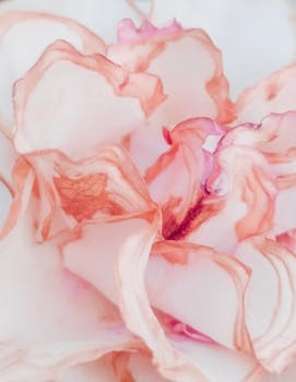 Close-up of delicate pink flower petals showcasing elegant textures.