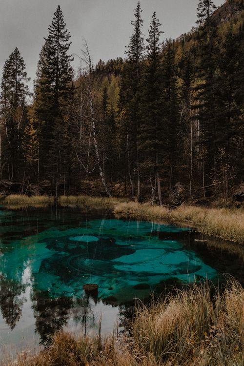 Free Scenic view of a tranquil lake surrounded by dense forest in Altai Republic, Russia. Stock Photo