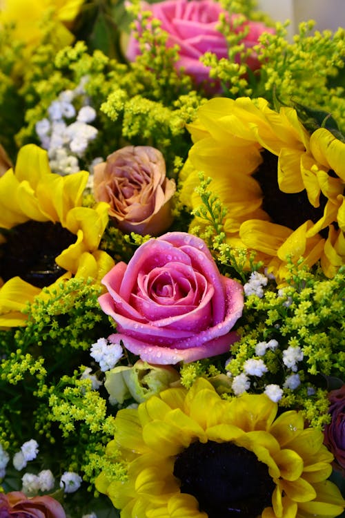 Close-Up Shot of Roses and Sunflowers in Bloom