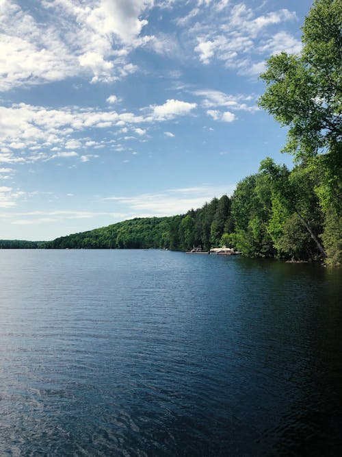 Photos gratuites de chaud, ciel bleu, cottage