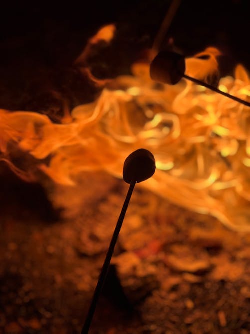 Free stock photo of fire, marshmallow, s more Stock Photo