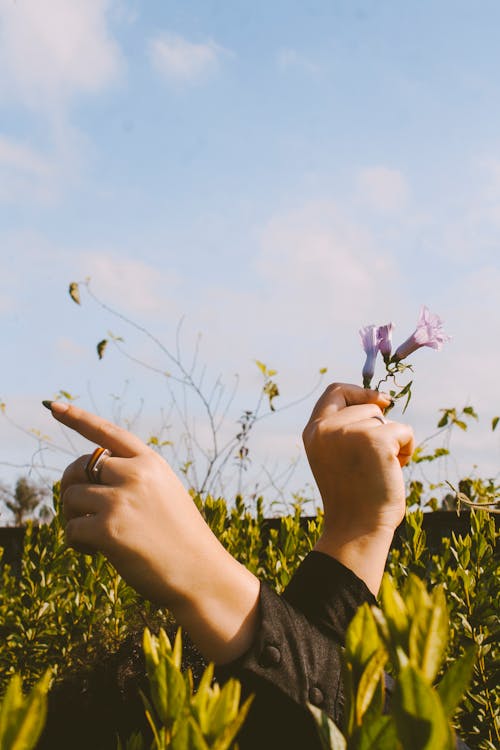 Hands Sticking Out From the Field Holding Flowers