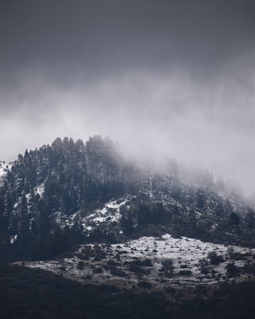 Imagine de stoc gratuită din acoperit de zăpadă, fotografiere verticală, iarnă