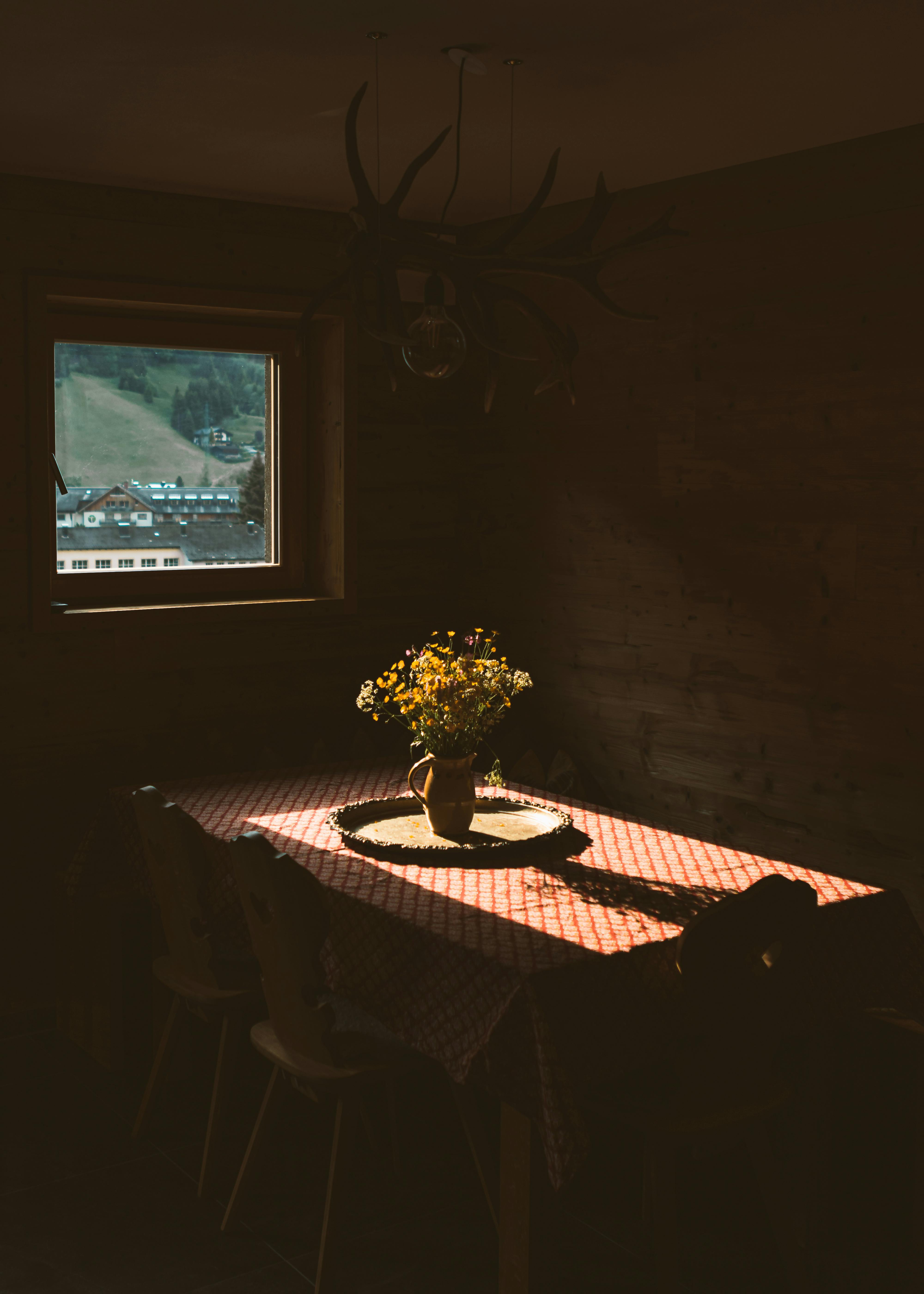 grátis Foto profissional grátis de acolhedor, atmosfera calorosa, cadeiras vazias Foto profissional