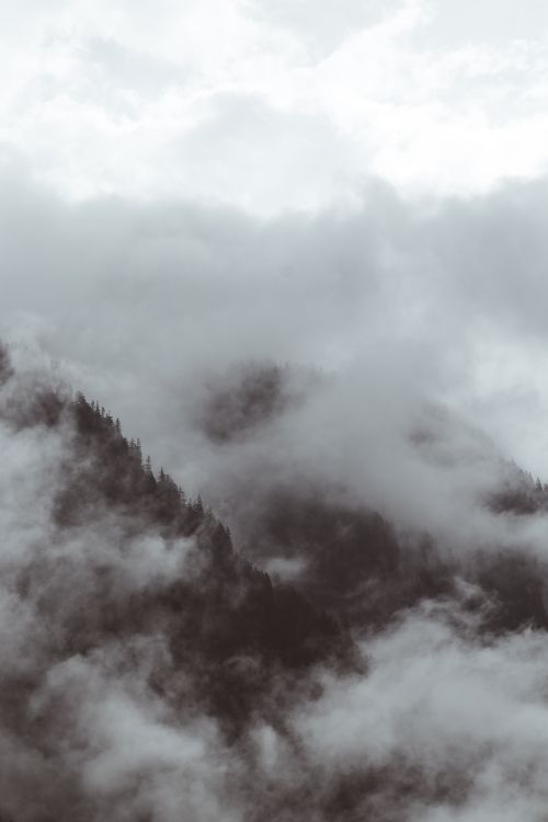 Free A striking view of a fog-covered mountain range with dense clouds creating an ethereal atmosphere. Stock Photo