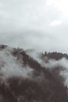 A dramatic scene of fog rolling over forested mountain tops, creating a moody atmosphere.
