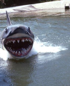 Close-up photo of a shark with open jaws emerging from the water, showcasing its teeth.