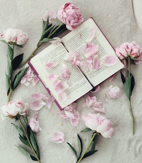 Fotos de stock gratuitas de flora, flores, libro