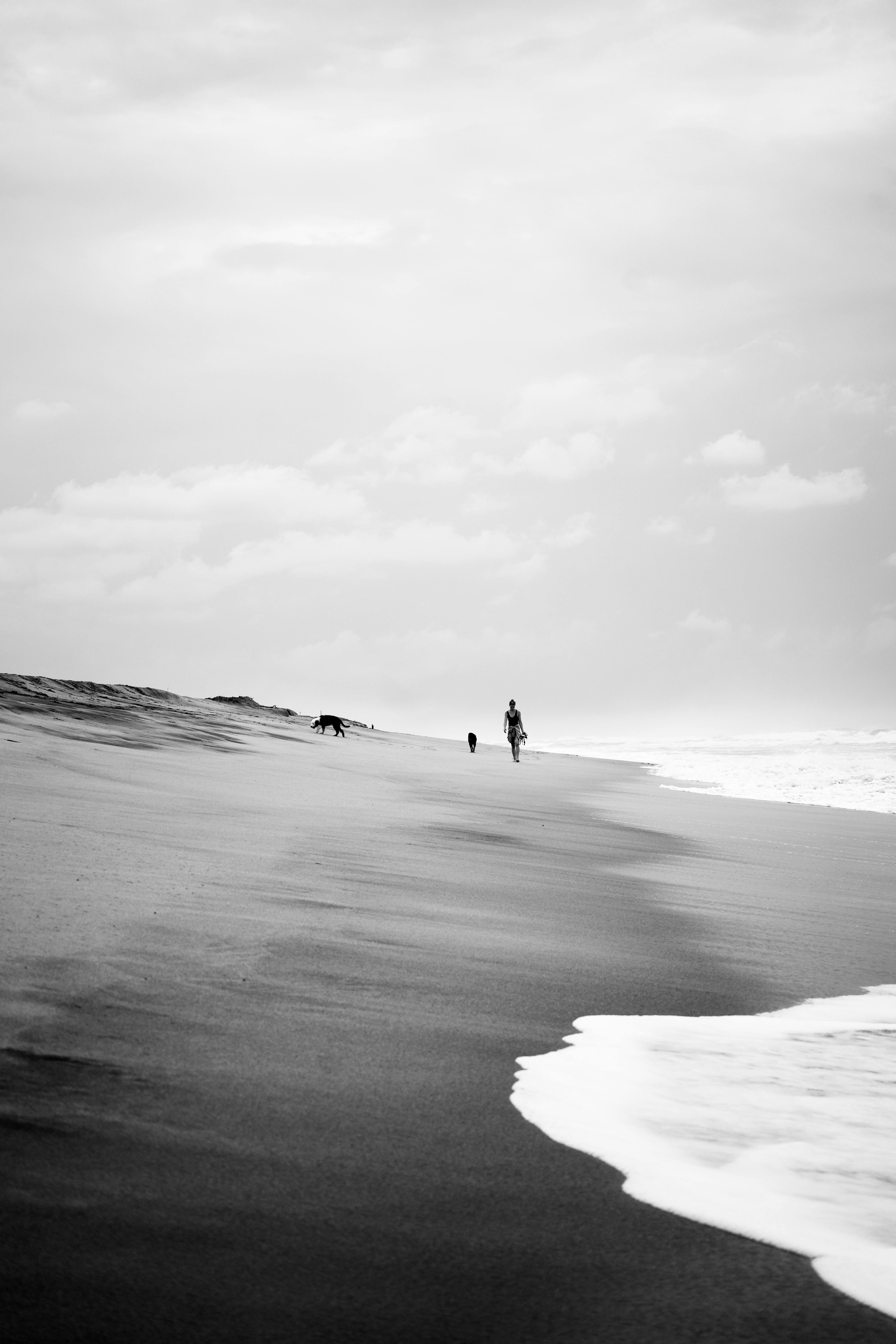 Person walking dogs on a serene beach in Puerto Escondido, Mexico.