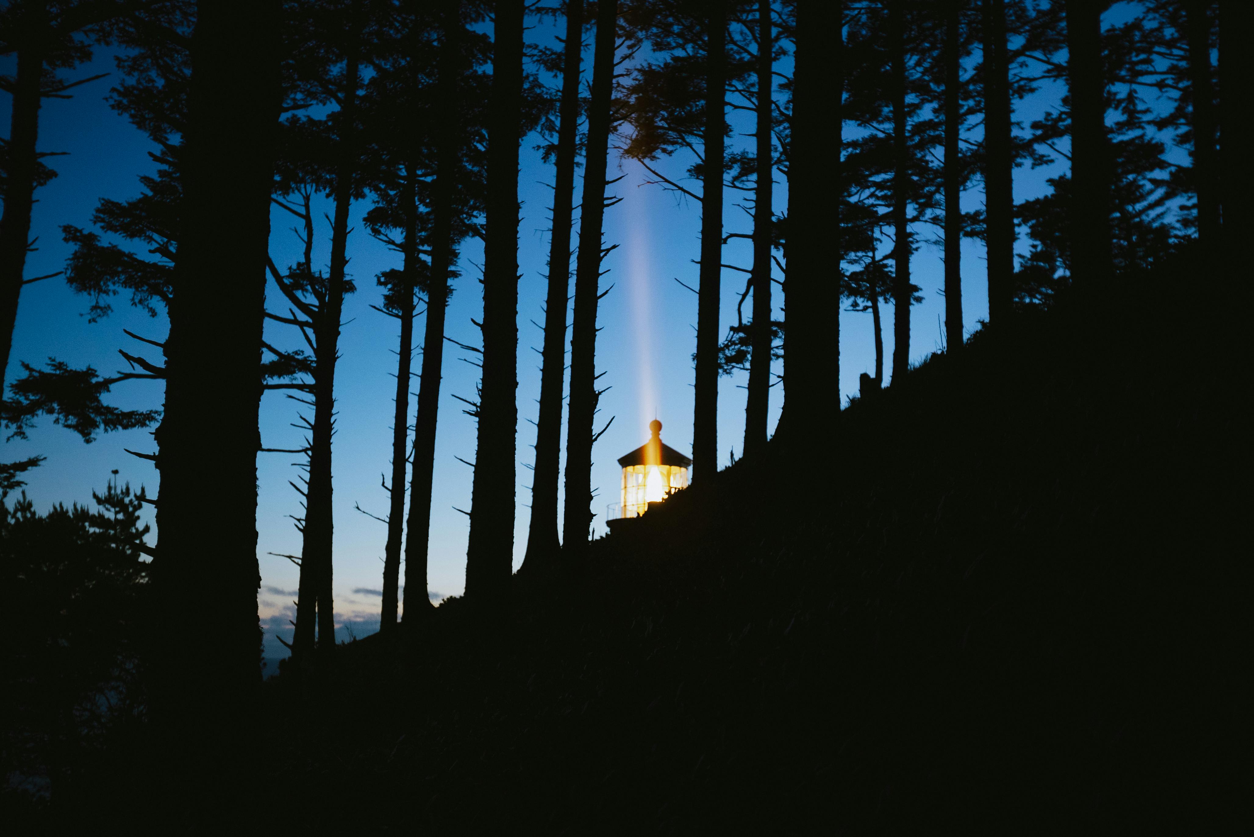 A serene view of a lighthouse illuminating through forest silhouettes at twilight.
