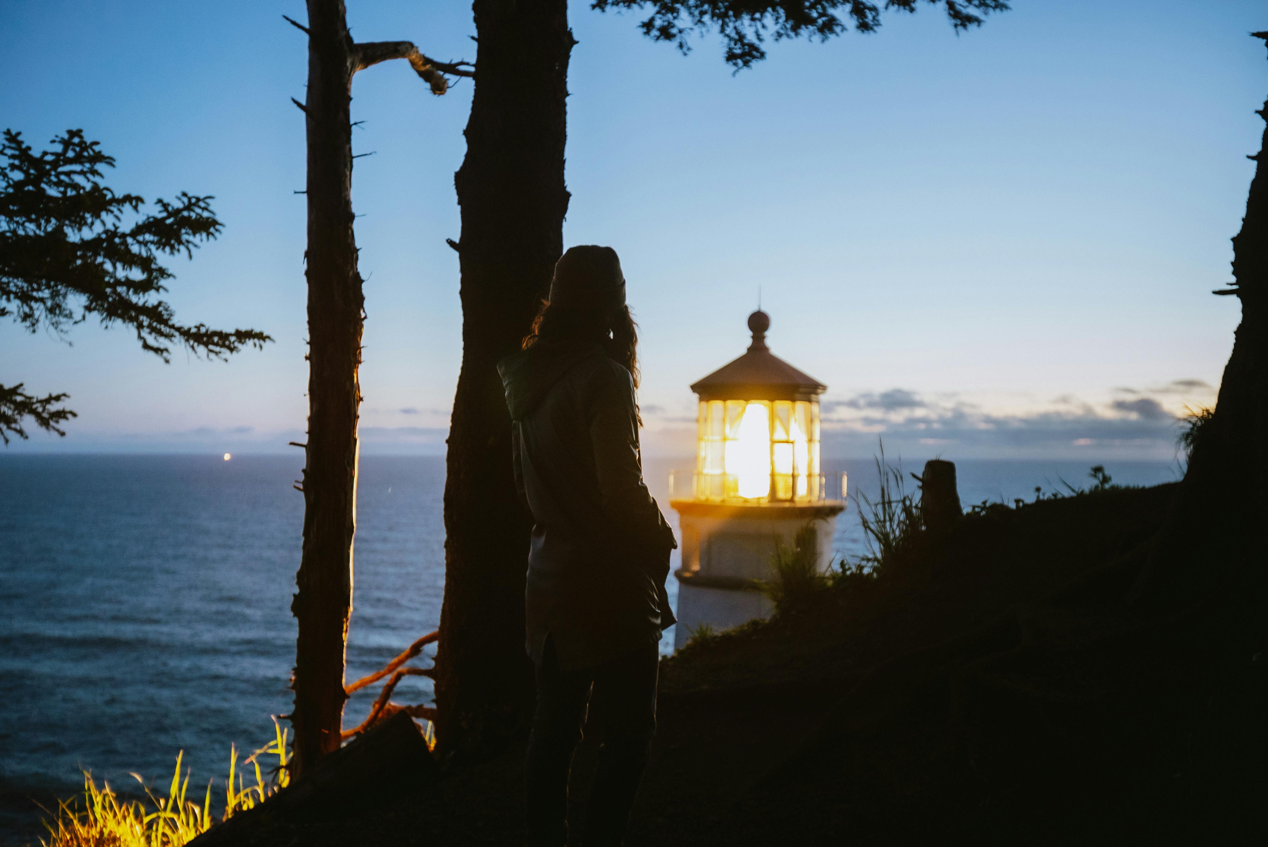 silhouette of man standing near tree and body of water during sunset