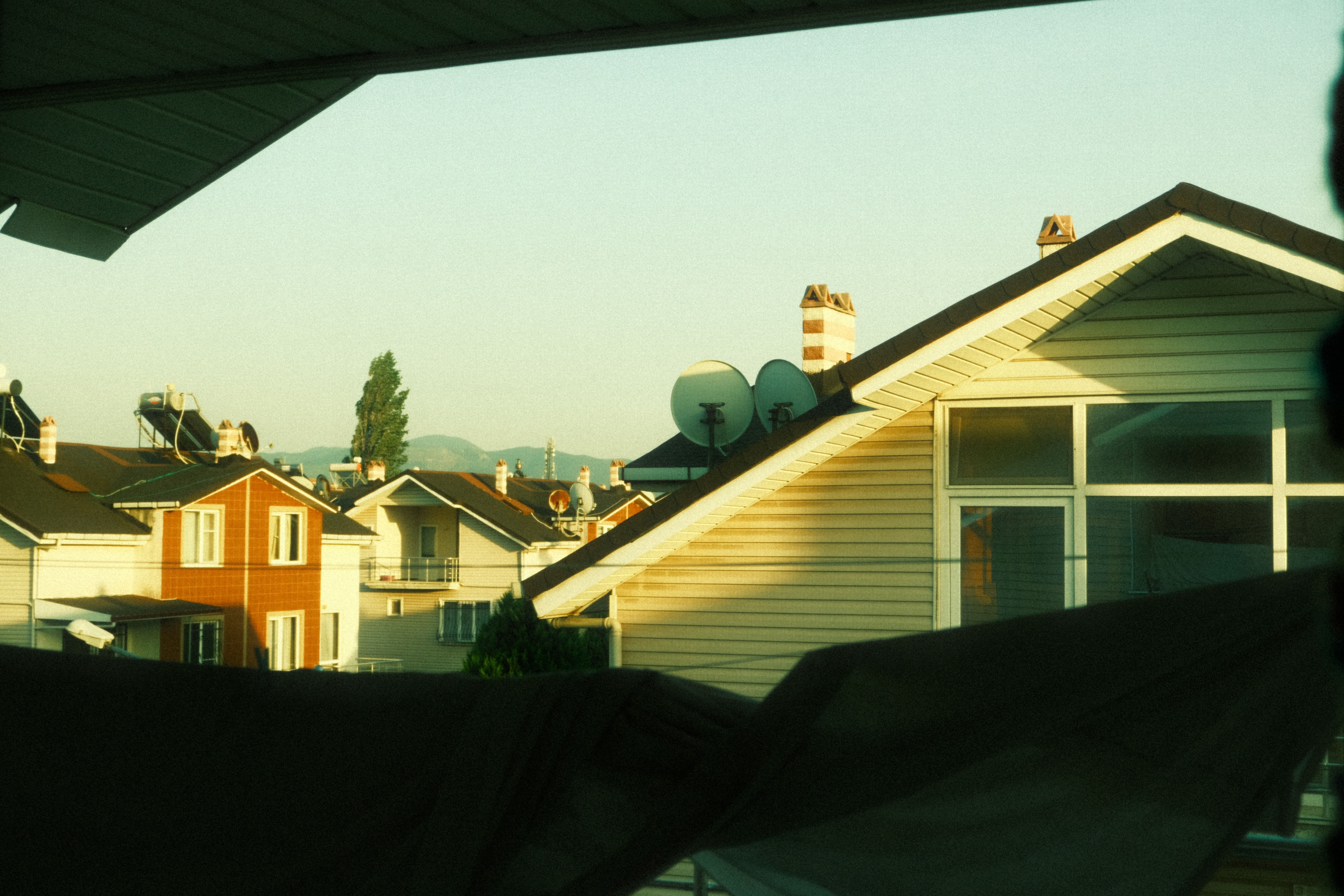 tall trees casting shadow across a residential rooftop