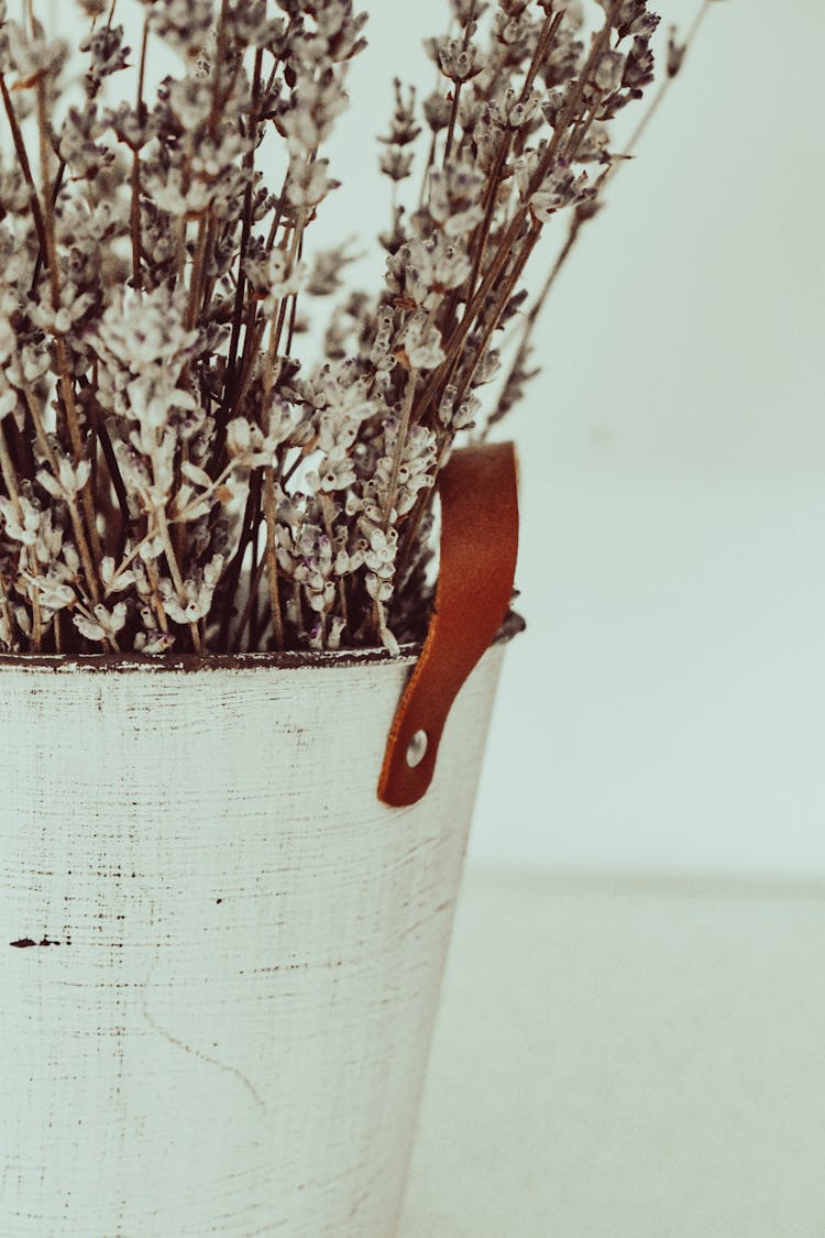 White Flowers In White Bucket