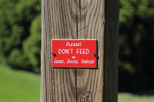 경고, 나무 기둥, 텍스트의 무료 스톡 사진