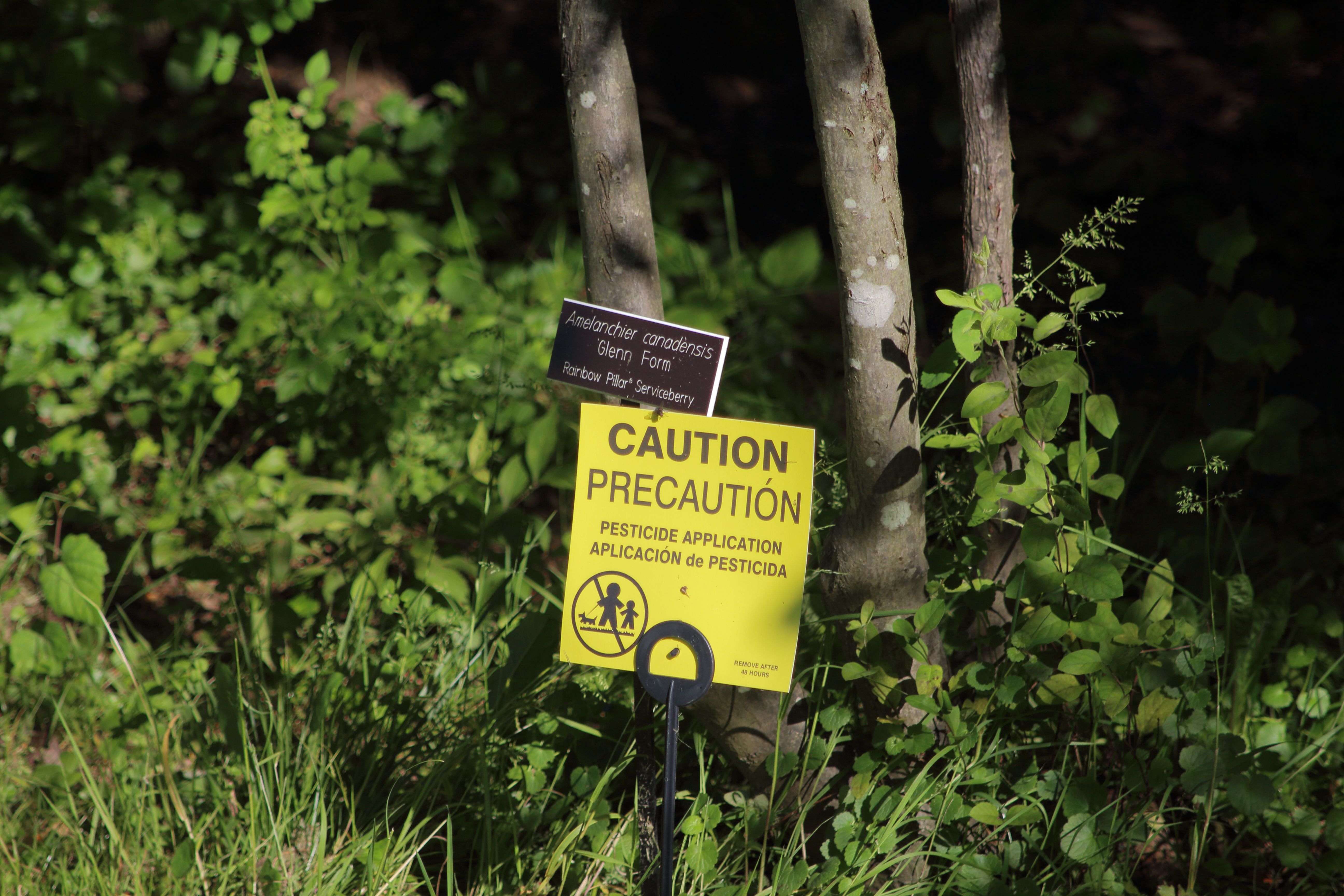Close-up of a caution sign warning about pesticide application near green plants. | BocaVibe